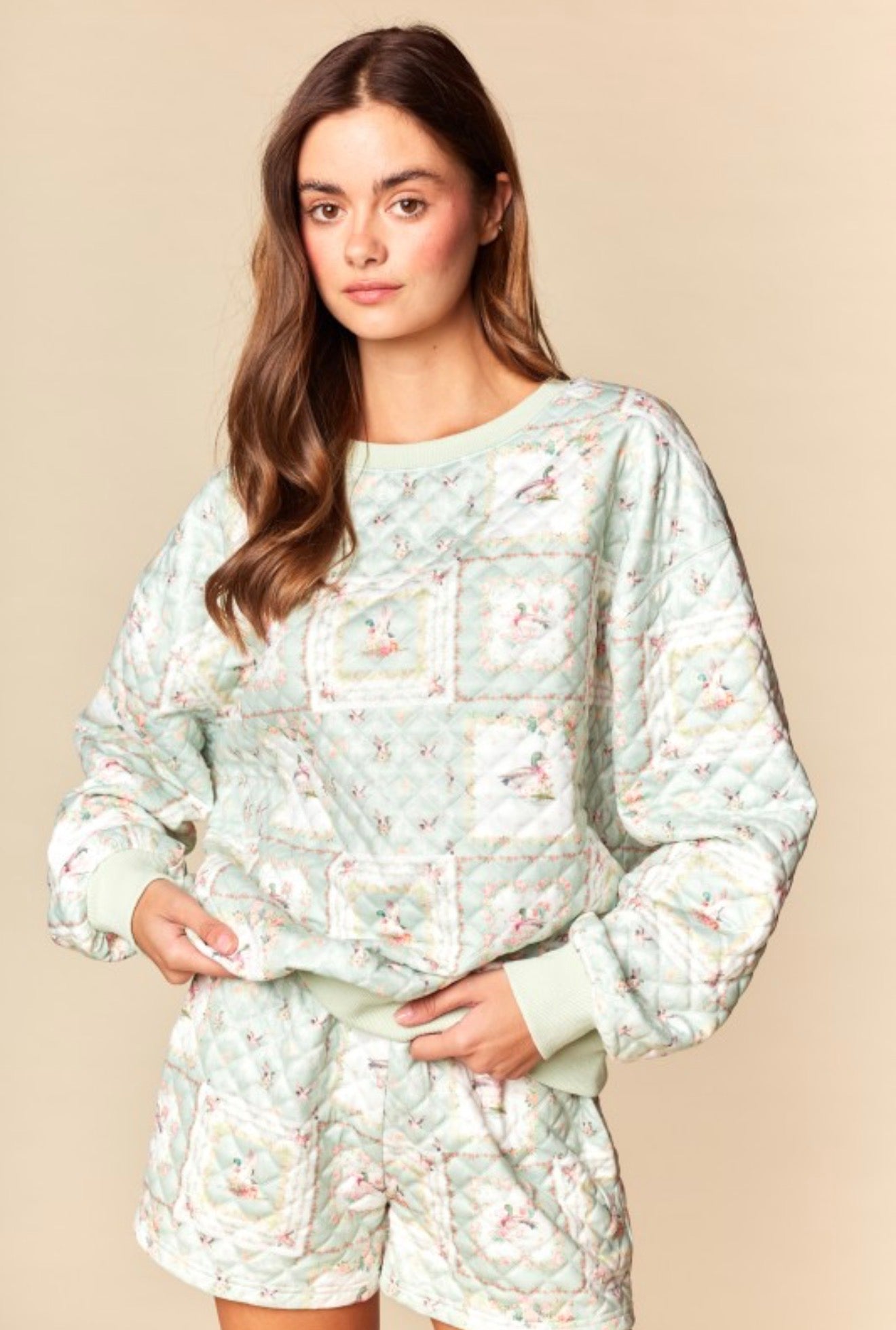 Mallard Duck Patchwork Set